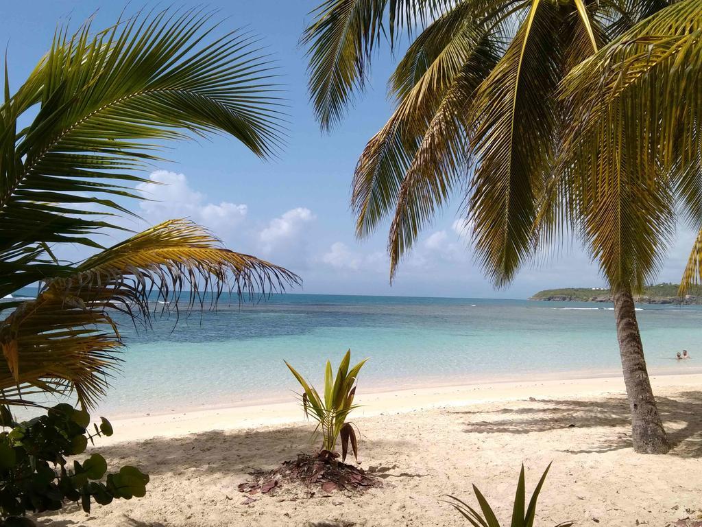Appartements: Plage & Commerces A 200M Sainte-Anne  Luaran gambar