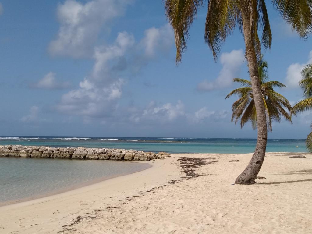 Appartements: Plage & Commerces A 200M Sainte-Anne  Luaran gambar